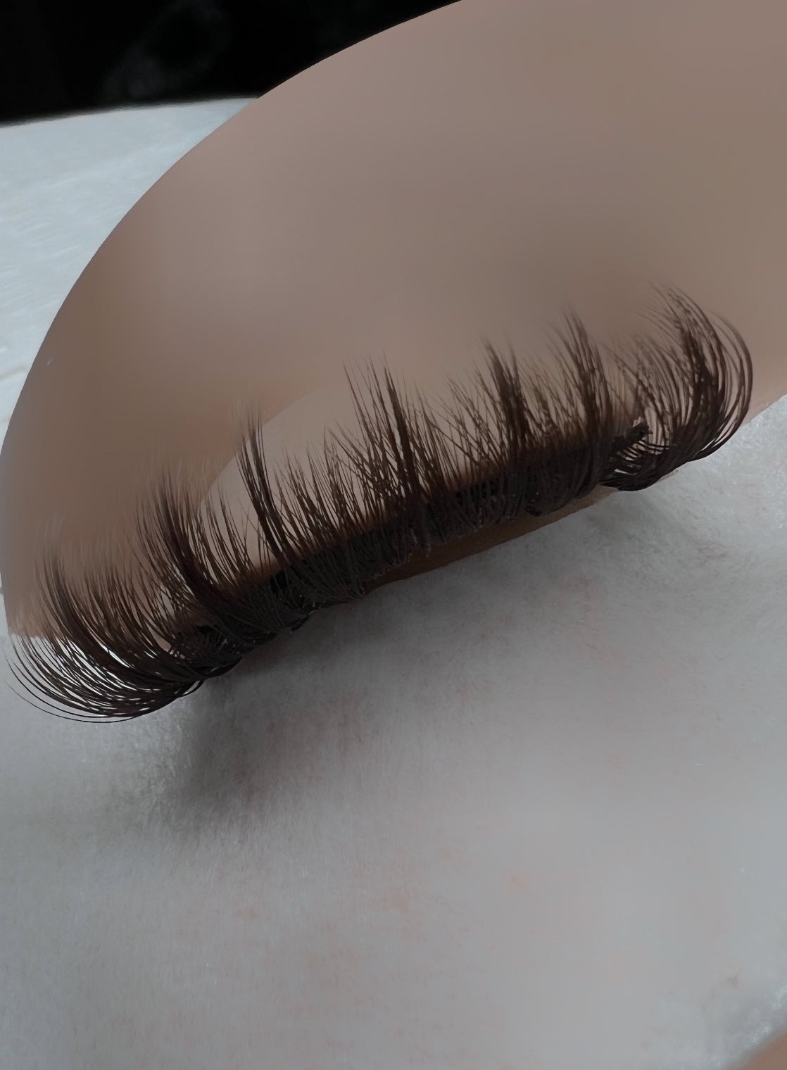 .03 CC Curl — Dark Chocolate Trays